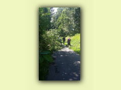 20150725_141426.jpg