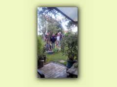IMG_20150725_185652.jpg